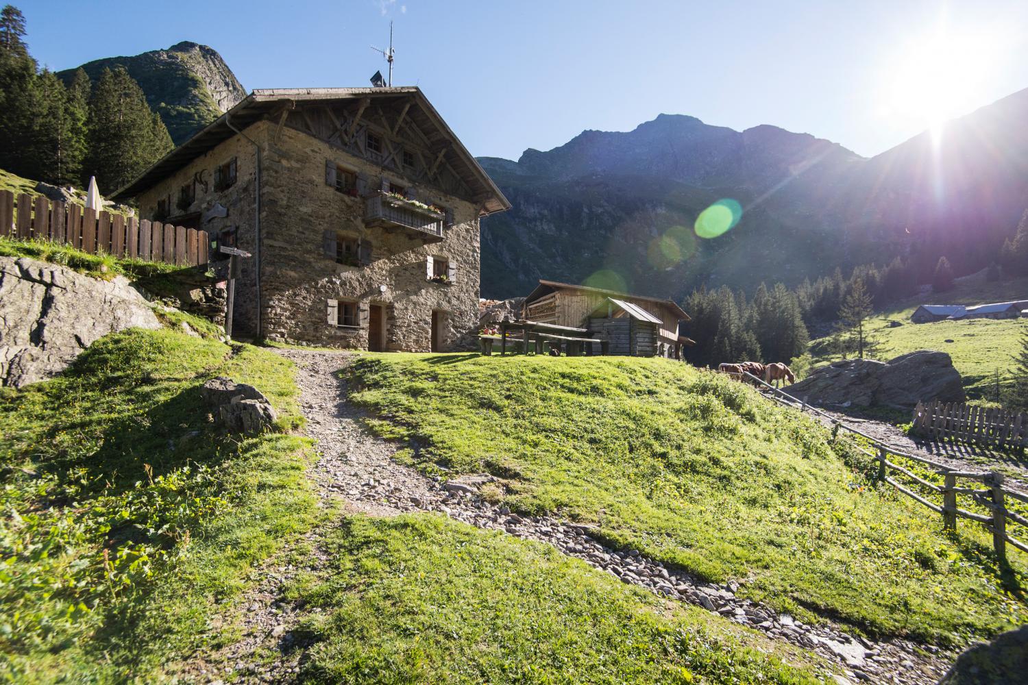 Das Schutzhaus Bockerhütte in Südtirol