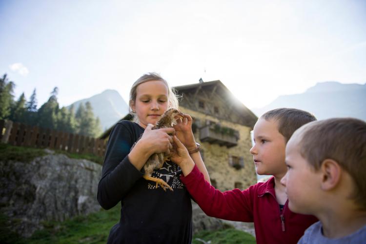 Bambini con conigli