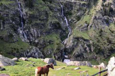 Cavallo con cascata