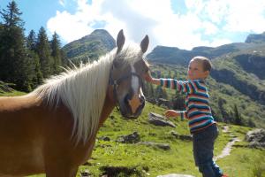 Junge mit Pferd