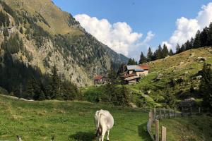 Rifugio Bocker