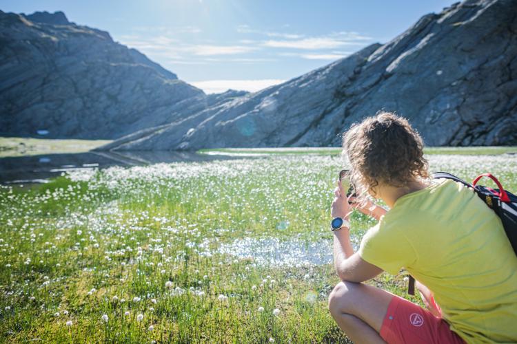 Prato fiorito ai laghi Sopranes